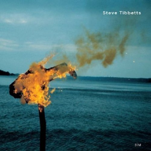 Steve Tibbetts - A Man About a Horse