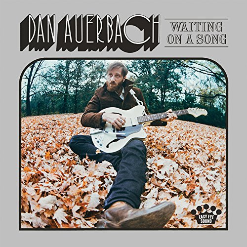 Dan Auerbach - Waiting on a Song [Vinyl LP]