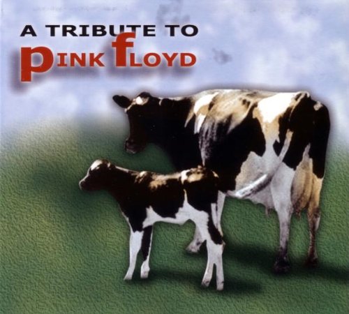 Sampler - A Tribute To Pink Floyd