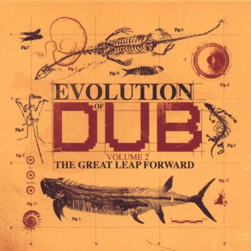 the & Revolutionaries,the Aggrovators - The Evolution of Dub Vol.2 (Box-Set)