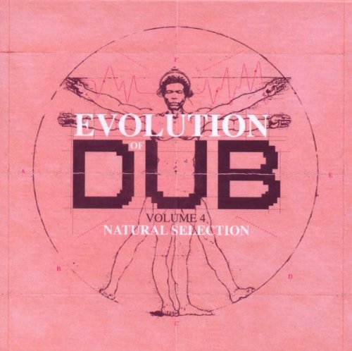 Joe Gibbs - The Evolution of Dub Vol.4 (Box-Set)