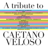 Caetano Veloso - Caetano-the Definite Collection