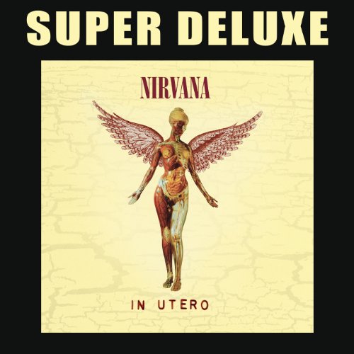 Nirvana - In Utero (20th Anniversary Limited Super Deluxe Edition inkl. 3 CDs + DVD)