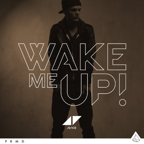 Avicii - Wake Me Up (2-Track)