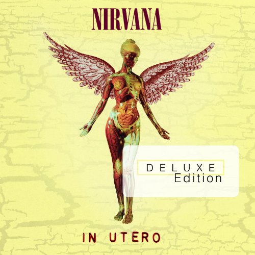 Nirvana - In Utero (20th Anniversary Deluxe Edition inkl. 2 CDs)