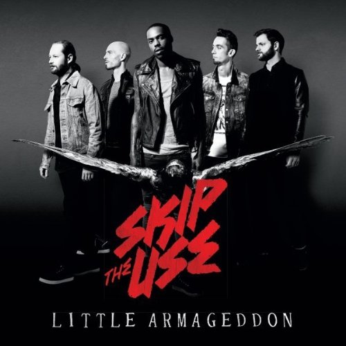 Skip the Use - Little Armageddon