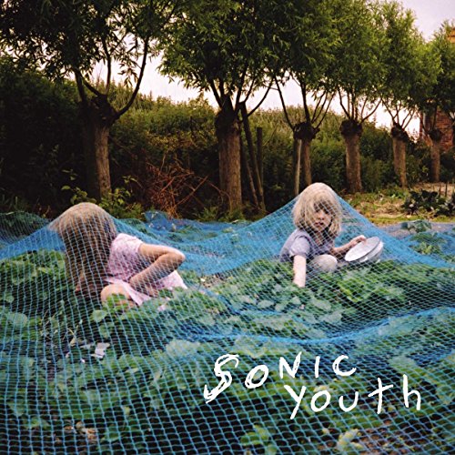 Sonic Youth - Murray Street (Back to Black) (Vinyl)