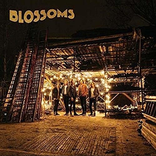 Blossoms - o. Titel