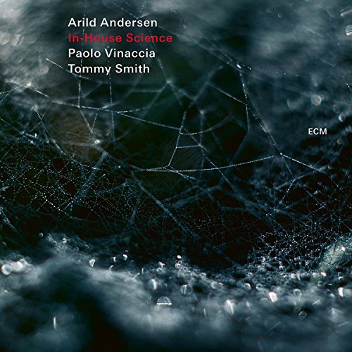 Arild Trio Andersen - In House Science