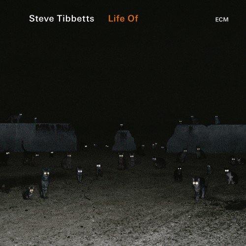 Steve Tibbetts - Life of