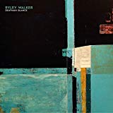 Ryley Walker - All Kinds of You [Vinyl LP]