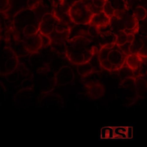 O.S.I. - Blood (Special Edition)