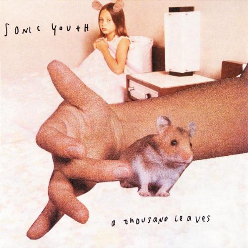 Sonic Youth - A thousand leaves