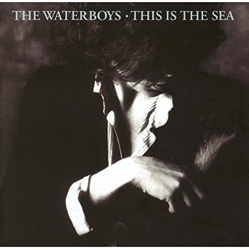 Waterboys , The - This Is The Sea (Remastered 2 CD Edition)