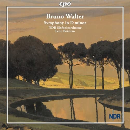 Walter , Bruno - Symphony In D Minor (Botstein)