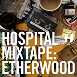 Etherwood - Blue Leaves