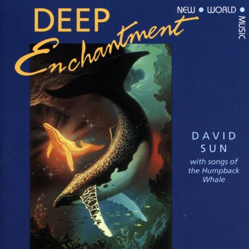 Sun , David - Deep Enchantment