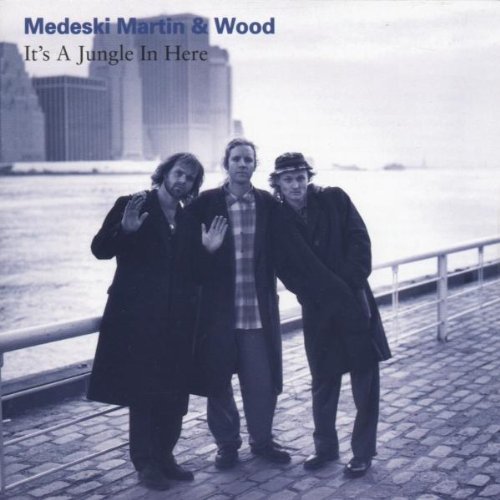 Medeski  Martin & Wood - It's a jungle in here