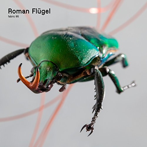 Roman Flügel - Fabric 95