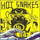 Hot Snakes - Audit in Progress