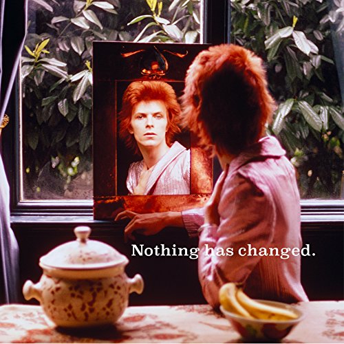 David Bowie - Nothing Has Changed (the Best of David Bowie) [Vinyl LP]