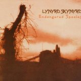 Lynyrd Skynyrd - Edge of forever