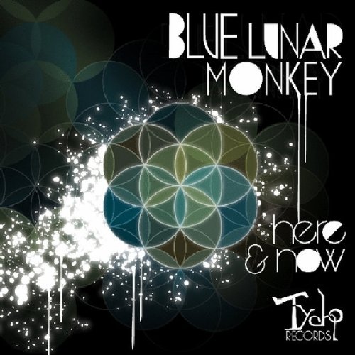 Blue Lunar Monkey - Here & Now