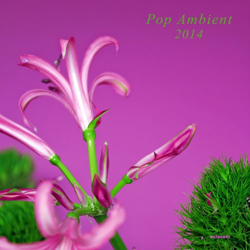 Various - Pop Ambient 2014 (Lp+CD) [Vinyl LP] [Vinyl LP]