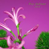 Various - Pop Ambient 2015