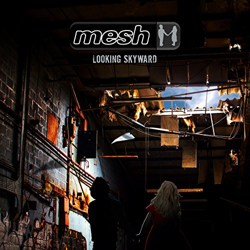 Mesh - Looking Skyward (2CD im Buch Format)