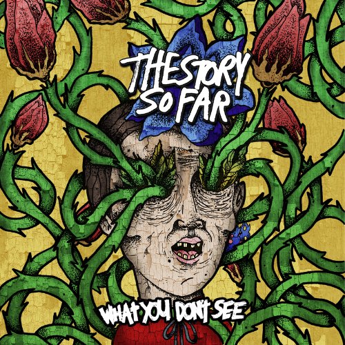 the Story So Far - What You Dont See