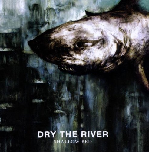 Dry the River - Shallow Bed