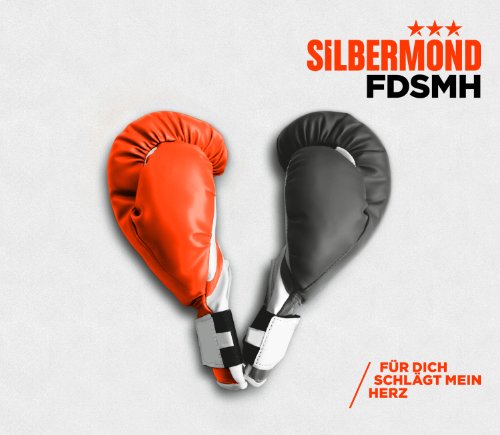 Silbermond - Fdsmh (Für Dich Schlägt Mein Herz)