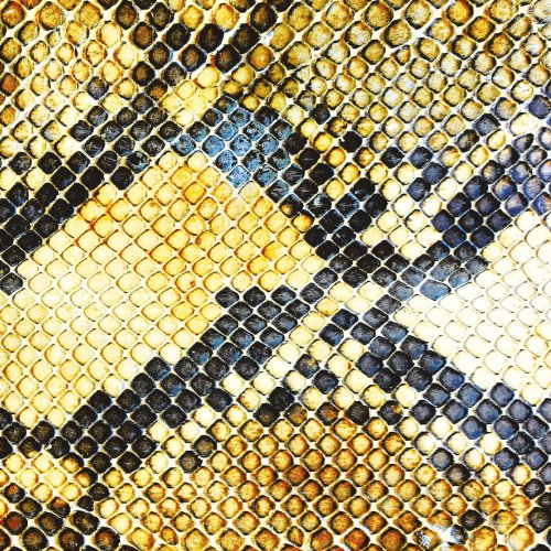 Amazing Snakeheads , The - Amphetamine Ballads