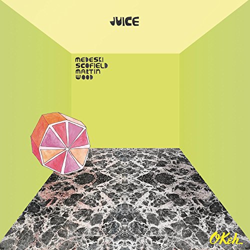 Scofield,Martin & Wood Medeski - Juice