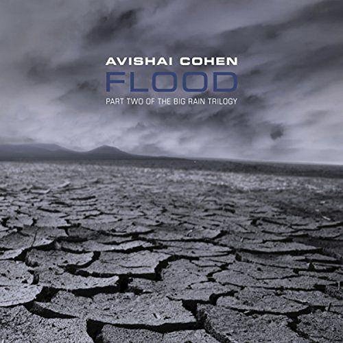 Avishai Cohen - Flood