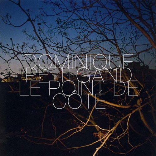 Dominique Petitgand - Le Point de Cté