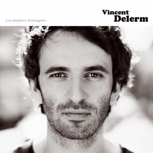 Vincent Delerm - Les Piqures D'araignee