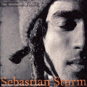 Sebastian Sturm - One Moment in Peace