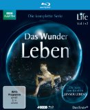 Blu-ray - Frozen Planet - Eisige Welten [Blu-ray]