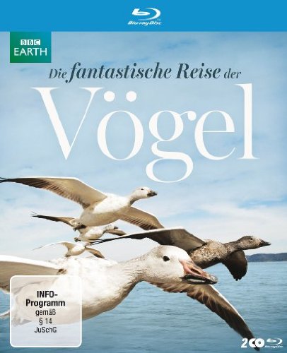 Blu-ray - Die fantastische Reise der Vögel (BBC Earth)