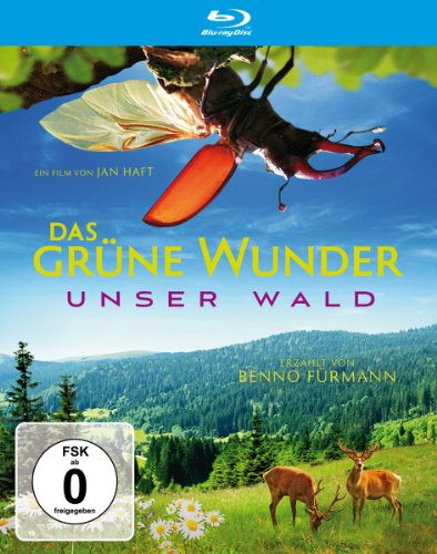 Blu-ray - Das grüne Wunder - Unser Wald [Blu-ray]