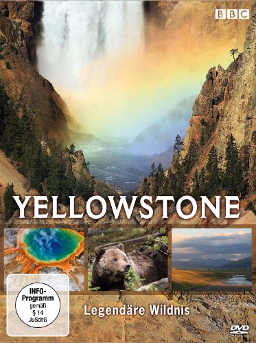 DVD - Yellowstone