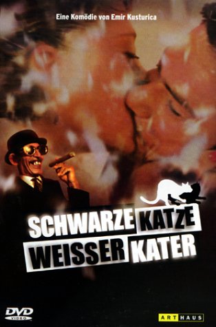 DVD - Schwarze Katze weisser kater