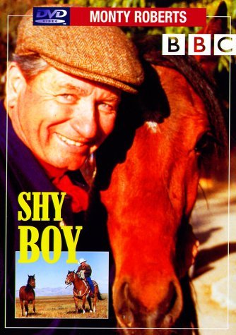 DVD - Shy Boy