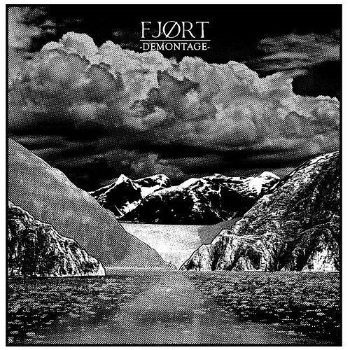 Fjort - Demontage