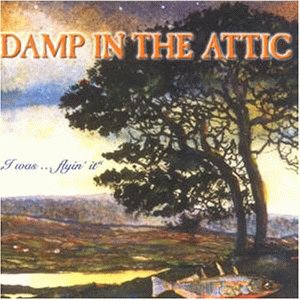 Damp in the Attic - I Was...Flying It