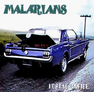 Malarians - Hostal Caribe