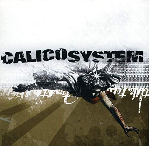 Calico System - The Duplicated Memory