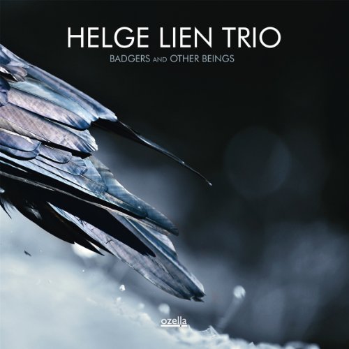 Helge Trio Lien - Badgers and Other Beings